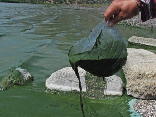 Uzmanlardan Bafa Gölü Uyarısı
