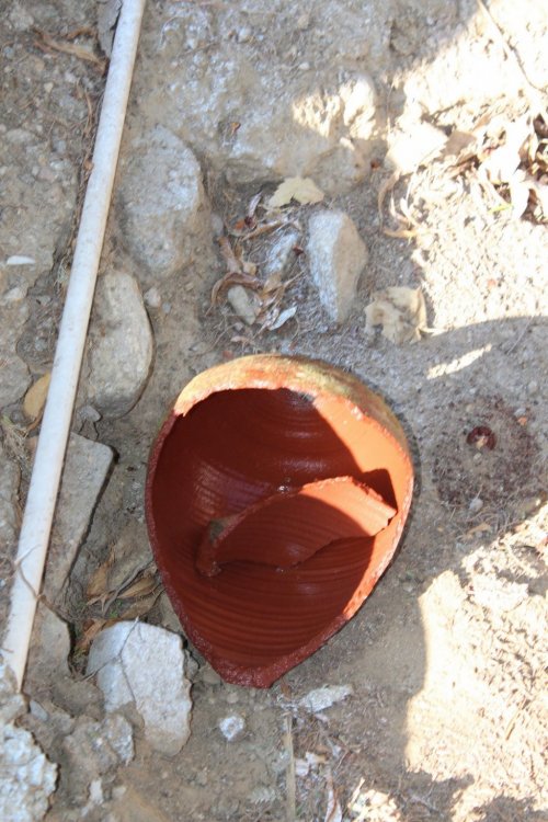 Uzunırmak, Baba Ocağından Start Verdi