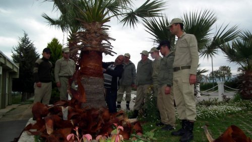 Vatani Görevini Yerine Getirirken Meslek Ediniyorlar