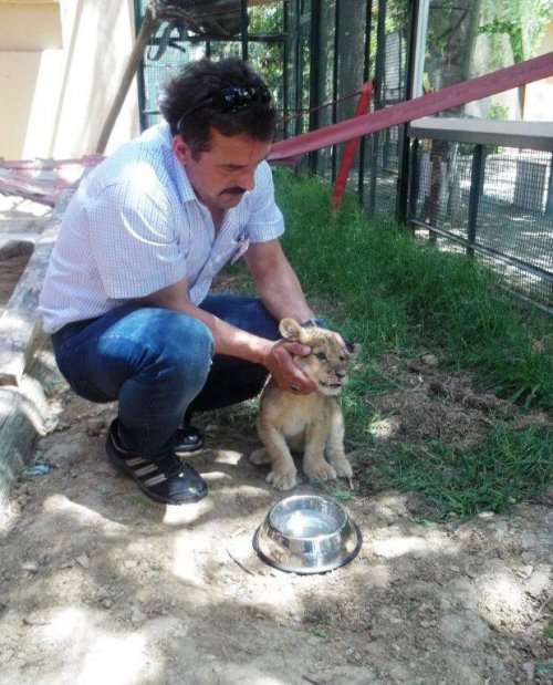 Yavru Aslanı Evinde Besledi