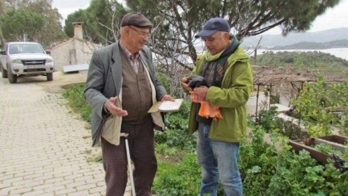 Yaz göçmenlerinin öncü leylekleri geldi