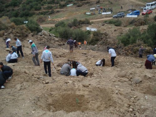 Yenipazar'da 10 Bin Kan Bağışına 10 Bin Fidan