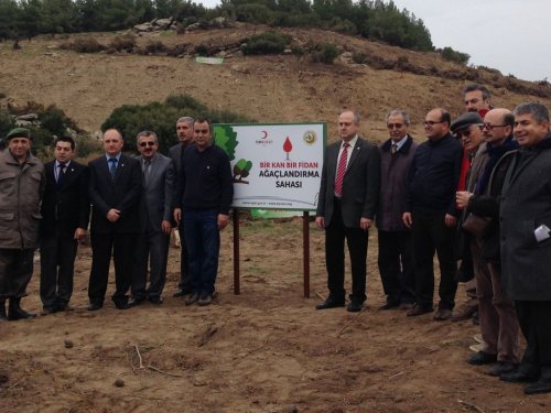 Yenipazar'da 10 Bin Kan Bağışına 10 Bin Fidan