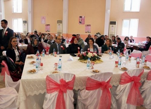 Yenipazar'da Mobil Ketem Tanıtım Programı Yapıldı