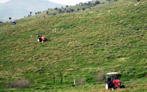 Yörükler Köyü'nde Mera Islah Çalışmaları Başladı