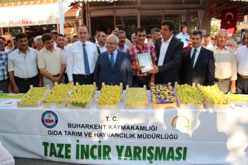 Zeybekci, İncir Festivalinde Ekonomiyi Değerlendirdi