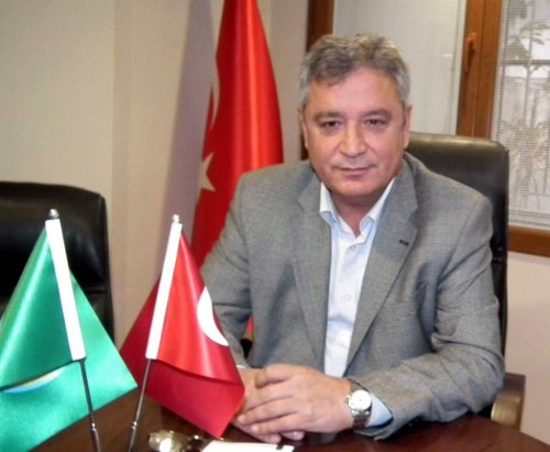Zeytin Ağaçları Kuruma Tehdidi Altında