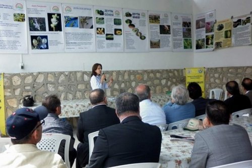 Zeytin Çiftçi Tarla Okulu Projesi Eğitim Toplantısı Yapıldı